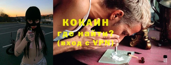 дживик Белокуриха