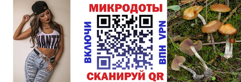 купить наркоту  Няндома  Псилоцибиновые грибы Cubensis 