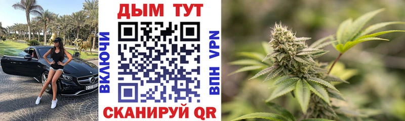 купить  цена  Няндома  omg вход  МАРИХУАНА SATIVA & INDICA 